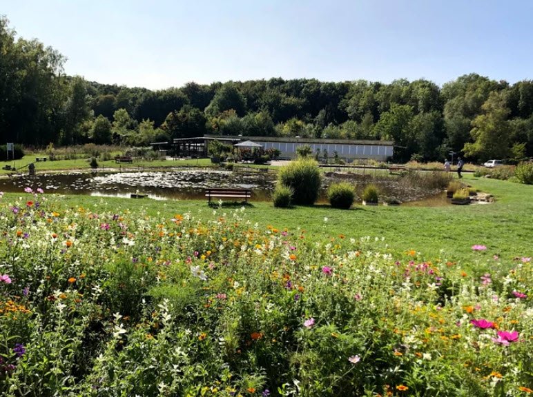 Arboretum Habichtsborn, Germany